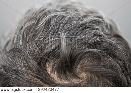 The Head Of A Man With A Hairstyle With Gray Hair. Gray Hair Adult