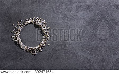 Lavandula - Dried Lavender Flowers. Text Space
