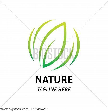Nature Green Leaf Logo Design Template Vector