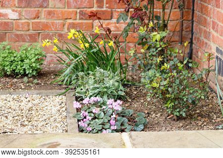 Spring Flower Border With Bulbs And Plants In A Garden, Uk