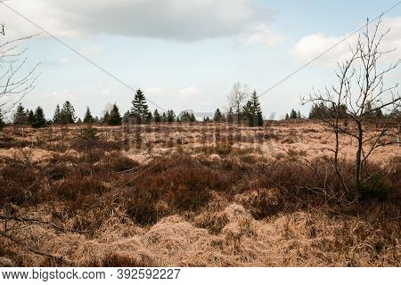 The High Fens, Hoge Venen, Belgium, Signal Van Botrange