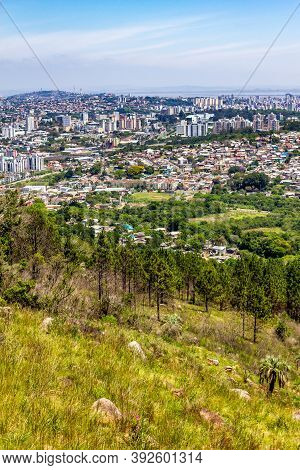 Vegetation And Porto Alegre Cityview From Morro Santana