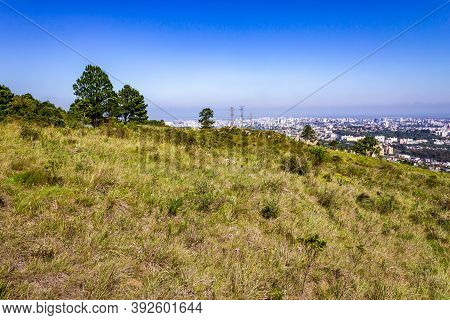 Vegetation And Porto Alegre Cityview From Morro Santana