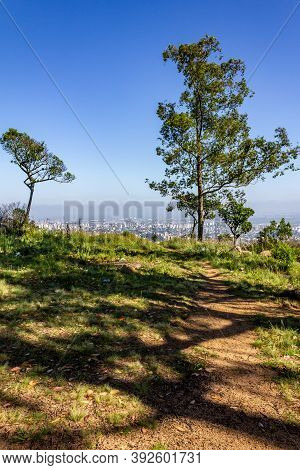 Vegetation And Porto Alegre Cityview From Morro Santana