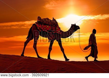 Cameleers, camel Drivers at sunset. Thar desert on sunset Jaisalmer, Rajasthan, India.
