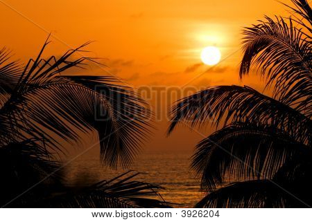 Atardecer africano
