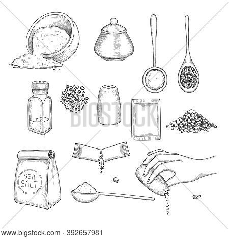 Drawn Salt. Eating Natural Ingredients For Preparing Food Sea Crystal Salt In Packages Vector Illust