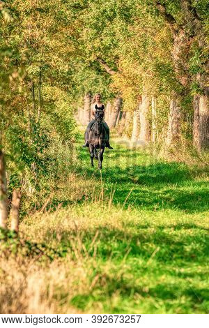 Beautiful Blonde Female Horse Rider On A Horse Without Sadle, In The Woods In The Setting Sun, Autum