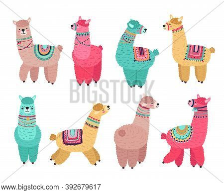 Cute Llama. Funny Alpaca, Cute Llamas Mexican Wildlife Characters. Creative Tribal Wool Animals, Iso