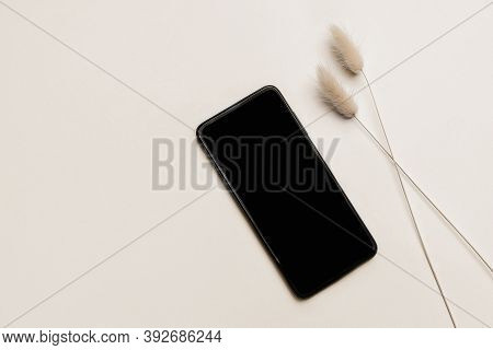 Modern Electronic Device Still Life. Black Cell Phone Mock Up With Dry Bunny Tail Grass Lagurus Ovat