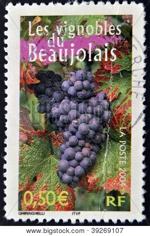 Frankrike - CIRCA 2004: En stämpel som tryckt i Frankrike visar vingårdarna i Beaujolais circa 2004