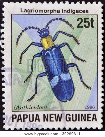 PAPUA NY GUINEA - CIRCA 1996: Et frimærke, trykt i Papua viser lagriomorpha andigacea (anthicidae)