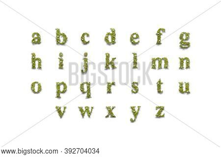 Decorative Lowercase Aphabet, Xmas Font Mockup, Isolated, 3d Rendering. Christmas Lettering Symbol F