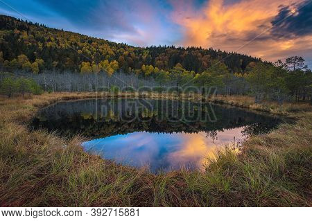 Beautiful Autumn Landscape With Small Lake In The Swamp. Colorful Autumn Forest Reflection On The Wa