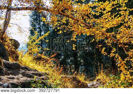 Beautiful Colorful Autumn Landscape For Posters, Banners, Wallpapers.