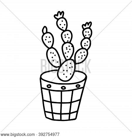 Black Outline Hand Drawing Vector Illustration Of A Decorative Cactus Opuntia Plant In A Pot Isolate