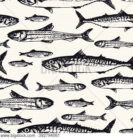 Seamless Pattern With Ocean And Sea Fishes In Sketchy Style. Vector Illustration Of Handdrawn Macker