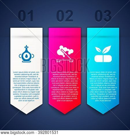 Set Oil Bottle, Scented Spa Stick And Medical Pill With Plant. Business Infographic Template. Vector