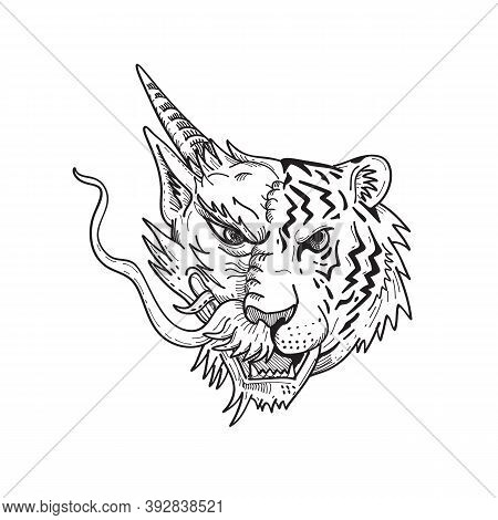 Drawing Sketch Style Illustration Of A Head Of A Half Chinese Dragon Half Bengal Tiger Viewed From F