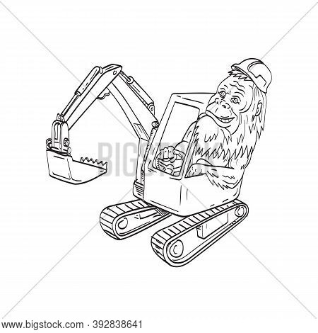 Line Art Drawing Illustration Of Sasquatch Or Bigfoot, An Ape-like Creature In Canadian And American