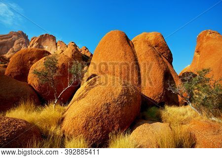 African landscapes -hot yellow bush, stines,  trees  and blue sky. Conceptual african background.