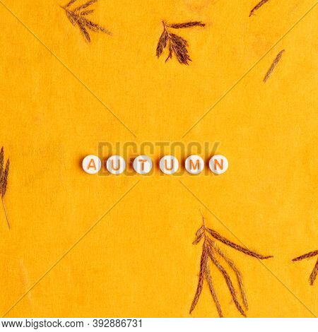 AUTUMN beads message typography leaf background
