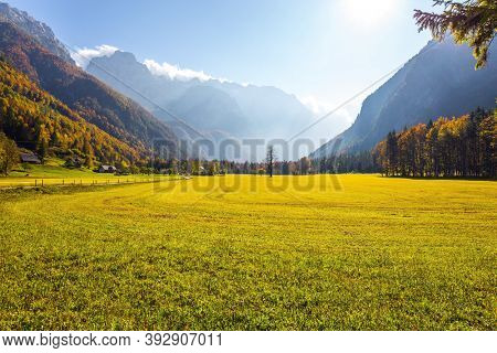 Green grass pasture- meadow. Yellow, green, orange and red autumn trees. Magnificent golden autumn in the mountains of Slovenia. Logarska Valley, Eastern Europe, Alps