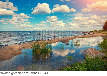Baltic Sea Coast. The River Flows Into The Sea