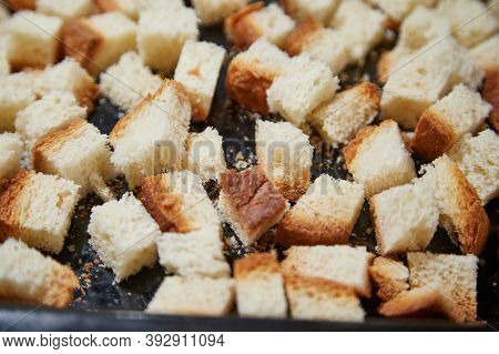 Square Toasted Pieces Of Homemade Delicious Rusk, Hardtack, Dryasdust, Zwieback On A Baking Sheet.