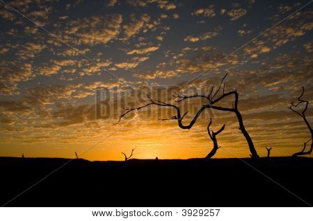 Sunrise prostřednictvím poboček