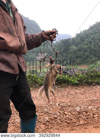 poacher carrying his 
still alive prey and a trap, Vietnam, Cao Bang