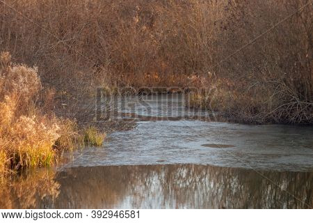 Reflection Of Dry Stalks Of Grass In A River Lake In Autumn.\ndry Grass With Beautiful Blur.\nreed I