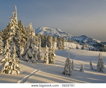 Snesko spor i en Alpine eng