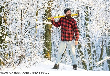 Sun Day Man With Axe In The Forest. A Man In A Winter Forest. Lumberjack With An Ax In His Hands. Be