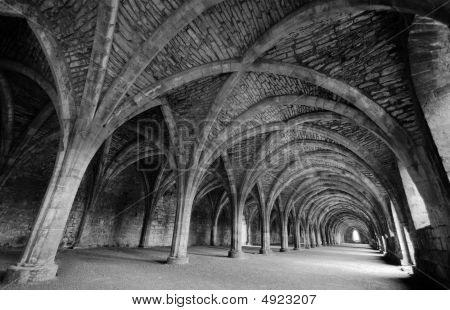 Fountains Abbey Cellarium