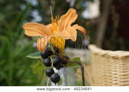 แบล็คเคอ sprig