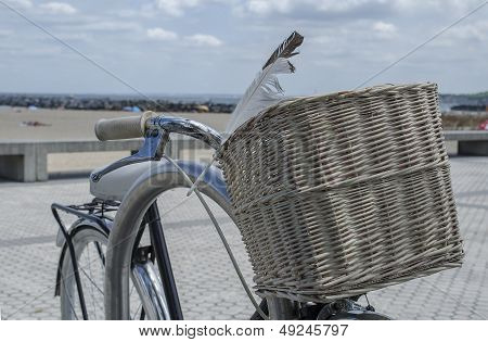 Granny Bicycle