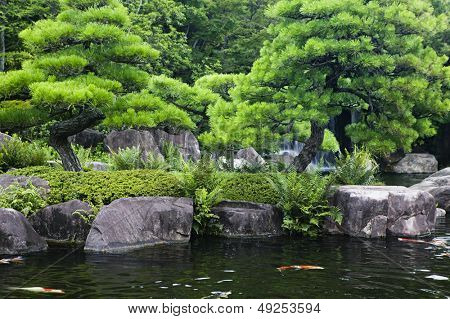 Stagno Giappone Himeji Himeji Koko-en giardini con carpe Koi