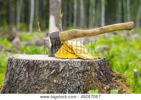 Ax carved in stump in forest