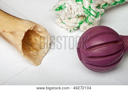 Assortment of dog toys against white background
