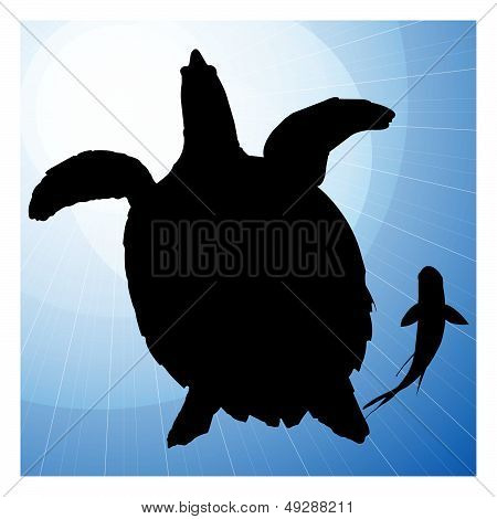 Turtle Vector Silhouettes With Fish