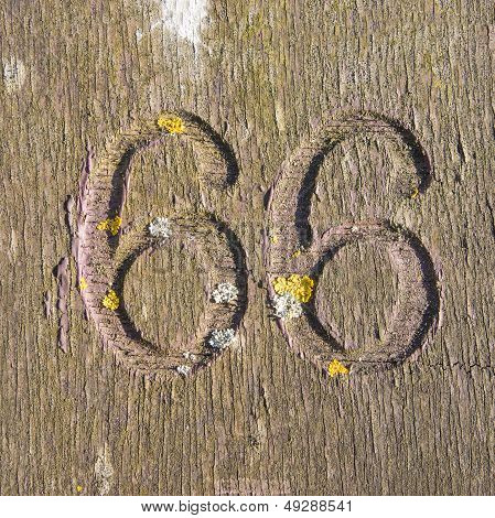 Number 66