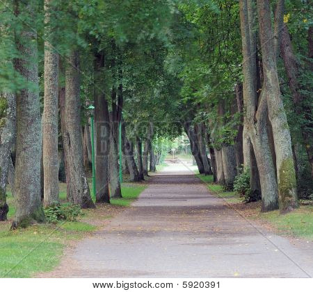 Marciapiede al parco