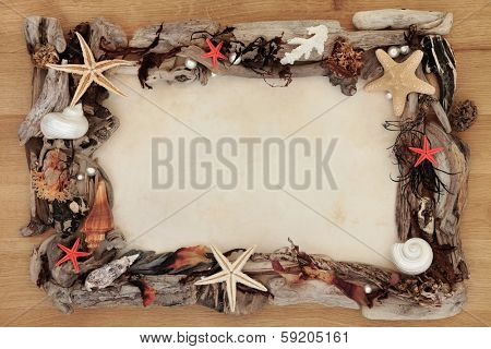 Seashell, seaweed and driftwood abstract border over oak wood and paper parchment background.
