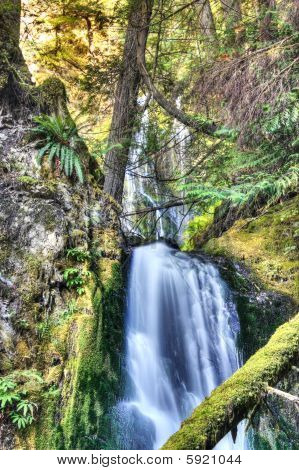 Wolf Creek Falls