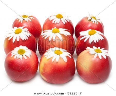 Apple y Daisywheels