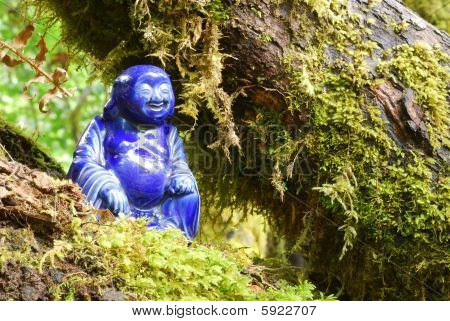 Bouddha de la forêt
