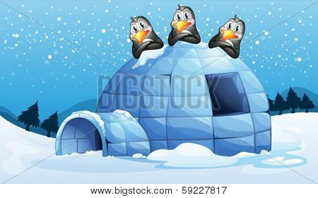 Illustration of the three penguins above the igloo