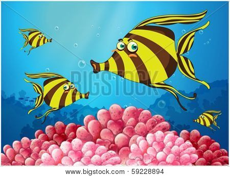 Illustration of a group of stripe-colored fishes under the sea on a white background
