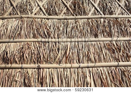 Hut Roof Texture, Thailand